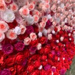 FW054 White red rose ombre flower wall backdrop 8x8ft cloth fabric backup - Image 3