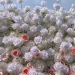 FW054 White red rose ombre flower wall backdrop 8x8ft cloth fabric backup - Image 4