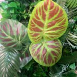 FW063 Plants with flower wall backdrop 4x8ft cloth fabric backup - Image 2