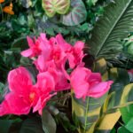 FW063 Plants with flower wall backdrop 4x8ft cloth fabric backup - Image 3