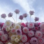 FW066 White pink roses ombre flower wall backdrop 8x8ft cloth fabric backup - Image 4