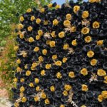 FW069 Black and gold roses flower wall backdrop 8x8ft cloth fabric backup - Image 5
