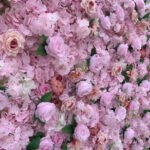 FW073 Pink roses flower wall backdrop 8x8ft cloth fabric backup - Image 2