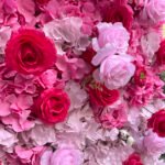 FW076 Pink and white ombre flower wall backdrop 8x8ft cloth fabric backup - Image 2