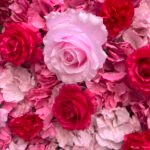 FW076 Pink and white ombre flower wall backdrop 8x8ft cloth fabric backup - Image 3