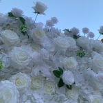 FW077 White roses flower wall backdrop 8x8ft cloth fabric backup - Image 2