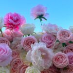 FW078 Pink and white roses flower wall backdrop 8x8ft cloth fabric backup - Image 3