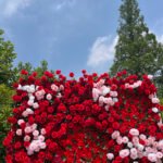 FW080 Red roses ombre flower wall backdrop 8x8ft cloth fabric backup - Image 4