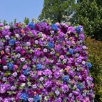 FW082 Purple roses flower wall backdrop 8x8ft cloth fabric backup - Image 5