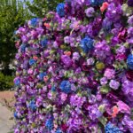 FW082 Purple roses flower wall backdrop 8x8ft cloth fabric backup - Image 2