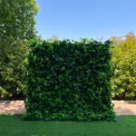 FW083 Plants wall backdrop 8x8ft cloth fabric backup - Image 5