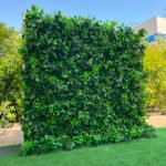 FW083 Plants wall backdrop 8x8ft cloth fabric backup
