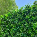 FW083 Plants wall backdrop 8x8ft cloth fabric backup - Image 6