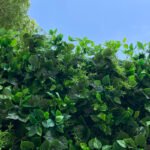 FW083 Plants wall backdrop 8x8ft cloth fabric backup - Image 7