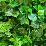 FW083 Plants wall backdrop 8x8ft cloth fabric backup - Image 2