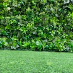 FW083 Plants wall backdrop 8x8ft cloth fabric backup - Image 8