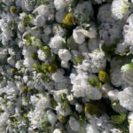 FW085 White roses with leaves flower wall backdrop 8x8ft cloth fabric backup - Image 2