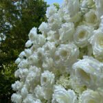 FW086 Big white roses flower wall backdrop 8x8ft cloth fabric backup - Image 6