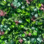 FW088 Plants with flowers wall backdrop 8x8ft cloth fabric backup - Image 2