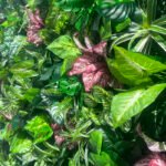 FW088 Plants with flowers wall backdrop 8x8ft cloth fabric backup - Image 3