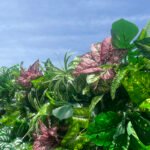 FW088 Plants with flowers wall backdrop 8x8ft cloth fabric backup - Image 4