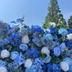 FW089 Blue roses flower wall backdrop 8x8ft cloth fabric backup - Image 2