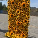 FW090 Sunflowers flower wall backdrop 4x8ft cloth fabric backup - Image 4