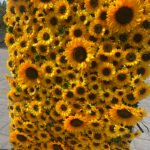 FW090 Sunflowers flower wall backdrop 4x8ft cloth fabric backup - Image 6