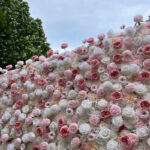 FW091 White and pink roses flower wall backdrop 8x8ft cloth fabric backup - Image 2