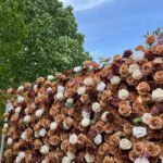 FW092 Autumn roses flower wall backdrop 8x8ft cloth fabric backup - Image 2