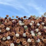 FW092 Autumn roses flower wall backdrop 8x8ft cloth fabric backup - Image 5