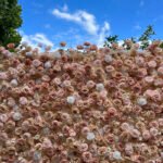FW093 Dusty roses flower wall backdrop 8x8ft cloth fabric backup - Image 6