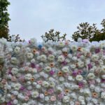 FW094 White roses flower wall backdrop 8x8ft cloth fabric backup - Image 4