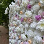 FW094 White roses flower wall backdrop 8x8ft cloth fabric backup - Image 3