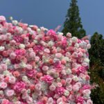 FW097 Pink roses flower wall backdrop 8x8ft cloth fabric backup - Image 3