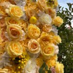 FW098 Yellow roses flower wall backdrop 8x8ft cloth fabric backup - Image 3