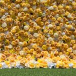 FW098 Yellow roses flower wall backdrop 8x8ft cloth fabric backup - Image 2