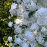 FW100 White roses flower wall backdrop 8x8ft cloth fabric backup - Image 2