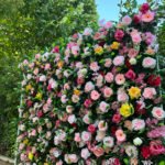 FW101 Leaves with colorful roses flower wall backdrop 8x8ft cloth fabric backup - Image 6