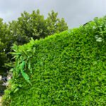 FW103 Grass with plants wall backdrop 8x8ft cloth fabric backup - Image 6