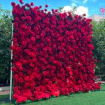FW104 Red roses flower wall backdrop 8x8ft cloth fabric backup - Image 4