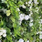 FW112 Leaves with white roses flower wall backdrop 8x8ft cloth fabric backup - Image 2