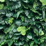 FW121 Tropical plants wall backdrop 8x8ft cloth fabric backup - Image 2