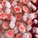 FW122 Red roses splicing flower wall backdrop 8x8ft cloth fabric backup - Image 5
