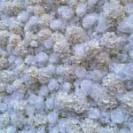 FW107 White roses hydrangea flower wall backdrop 8x8ft cloth fabric backup - Image 2