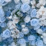 FW110 Blue roses flower wall backdrop 8x8ft cloth fabric backup - Image 2
