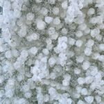 FW120 White roses with gyp flower wall backdrop 8x8ft cloth fabric backup - Image 2